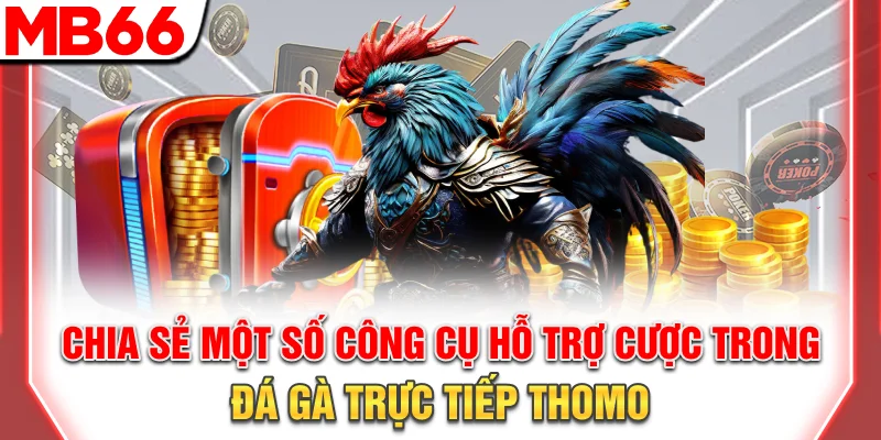 Chia sẻ một số công cụ hỗ trợ cược trong đá gà trực tiếp Thomo