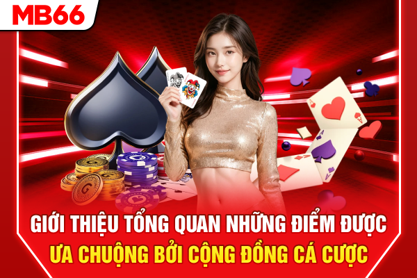 Giới thiệu tổng quan những điểm được ưa chuộng bởi cộng đồng cá cược