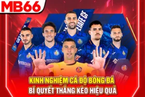 Kinh Nghiệm Cá Độ Bóng Đá - Bí Quyết Thắng Kèo Hiệu Quả