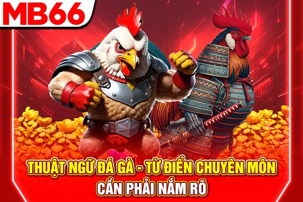 Thuật Ngữ Đá Gà - Từ Điển Chuyên Môn Cần Phải Nắm Rõ