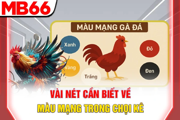 Vài nét cần biết về màu mạng trong chọi kê
